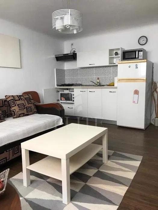 Apartament 2 camere în zona CENTRALA-1021982