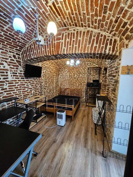 Apartament o camera în zona SEMICENTRALA PLATINIA MOTILOR-1207487