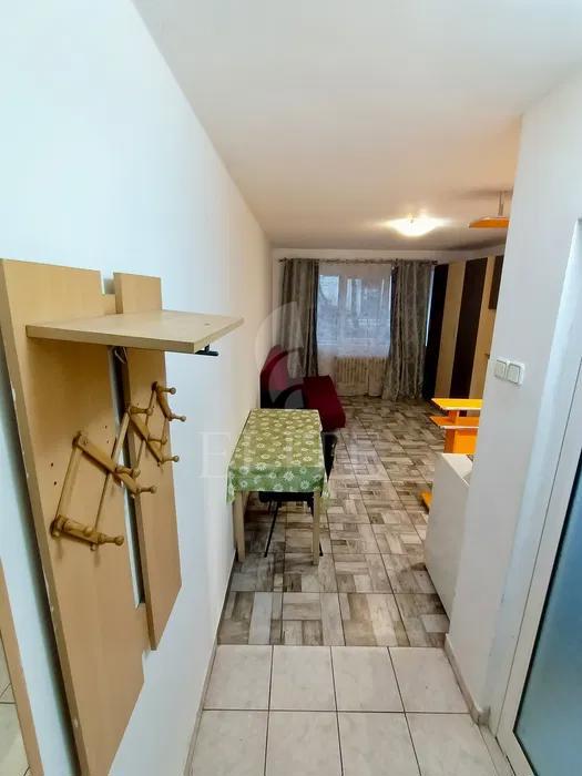 Garsoniera în zona STRAZII GRIGORE ALEXANDRESCU-1219218