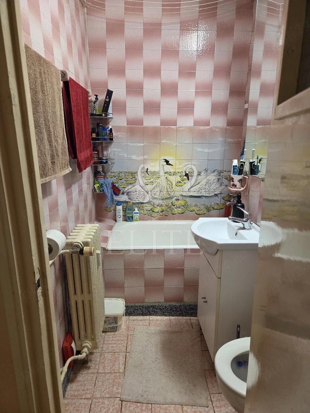 Apartament 2 camere în zona GRIGORE ALEXANDRESCU-1228639