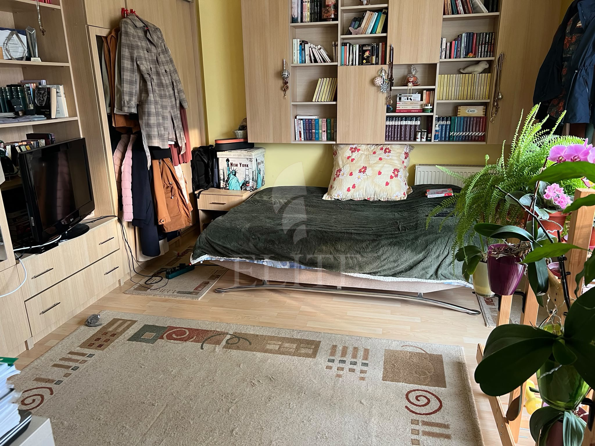 Apartament o camera în zona FSGA - Iulius Mall-1249985